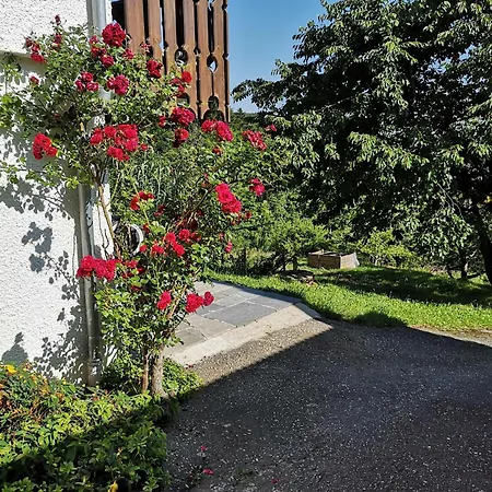 Panoramablick